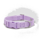 Lila Hundehalsband mit einer Kunststoffschnalle und einem Metall-D-Ring, mit einem schlichten Design und verstellbarem Riemen.