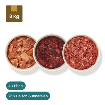 Tierfutterpakete zeigen drei rohe Fleischsorten, Schalen mit Hackfleisch und Fisch, mit dem Text "28x Fleisch & Innereien" und "4x Fisch."