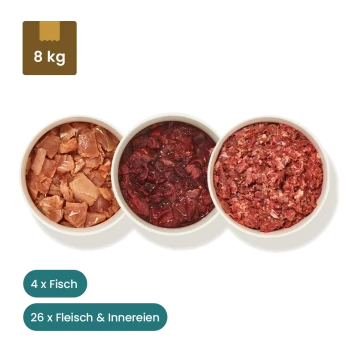 Tierfutterpakete zeigen drei rohe Fleischsorten, Schalen mit Hackfleisch und Fisch, mit dem Text "28x Fleisch & Innereien" und "4x Fisch."