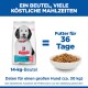 Hill's Science Plan hypoallergenes Hundefutter in einer Tüte mit einem Hund auf der Vorderseite, mit der Aufschrift "14-kg-Beutel" und "Futter für 36 Tage."