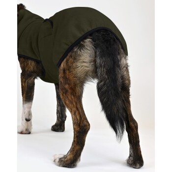 Ein brauner und schwarzer Hund trägt einen dunkelgrünen Fleece-Mantel und zeigt seine Hinterbeine und seinen Schwanz vor einem weißen Hintergrund.