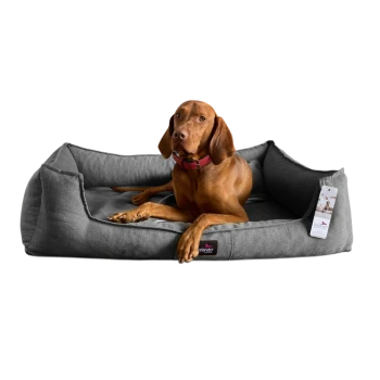 Brauner Hund mit rotem Halsband liegt auf einem grauen Tierlando Haustierbett mit angebrachtem Produktetikett.