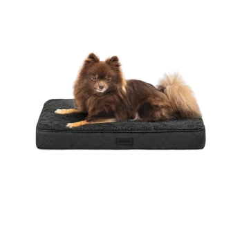 Ein flauschiger brauner Pomeranian-Hund ruht auf einem schwarzen, gesteppten Haustierbett mit einer weichen, strukturierten Oberfläche, mit dem Markennamen 'lionto.'