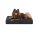 Ein flauschiger brauner Pomeranian-Hund ruht auf einem schwarzen, gesteppten Haustierbett mit einer weichen, strukturierten Oberfläche, mit dem Markennamen 'lionto.'