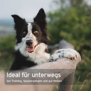 Ein Husky-Hund in einem rot karierten Hemd ruht auf einem Rucksack, mit Textüberlagerung: "Ideal für unterwegs bei Training, Spaziergängen und auf Reisen."