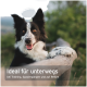 Ein Husky-Hund in einem rot karierten Hemd ruht auf einem Rucksack, mit Textüberlagerung: "Ideal für unterwegs bei Training, Spaziergängen und auf Reisen."
