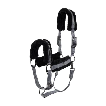 Schwarzes und graues Haustiergeschirr mit weicher Fleecepolsterung, mit verstellbaren Riemen und Metallclips für sicheren Halt.