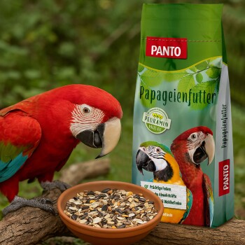 Ein lebhafter roter Ara schaut auf eine Schüssel mit gemischten Samen, neben einem Sack PANTO Papageienfutter mit der Aufschrift "Großsittich- und Papageienfutter."