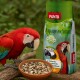 Ein lebhafter roter Ara schaut auf eine Schüssel mit gemischten Samen, neben einem Sack PANTO Papageienfutter mit der Aufschrift "Großsittich- und Papageienfutter."
