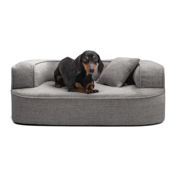 Ein schwarz-brauner Dackel steht auf einem plüschigen grauen Hundebett mit einem kleinen Kissen, vor einem hellen Holzboden.