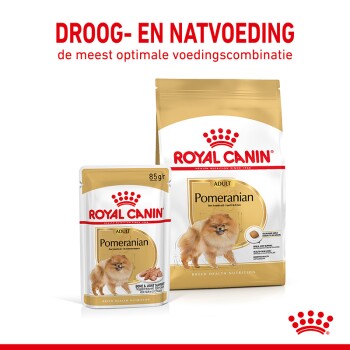 Verpakking van Royal Canin Pomeranian hondenvoer met een zak en een pouch, met tekst die optimale voeding voor volwassen Pomeranians benadrukt.
