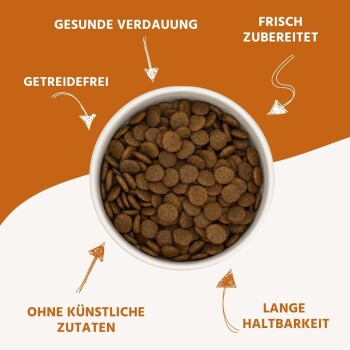 Schüssel mit Futter, beschriftet mit: "Gesunde Verdauung," "Getreidefrei," "Frisch zubereitet," "Keine künstlichen Zutaten," "Lange Haltbarkeit."