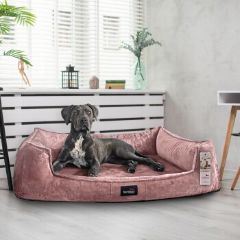 Ein schwarzer Hund mit einer weißen Brust entspannt sich auf einem rosa Bett, beschriftet mit "tierlando" in einem hellen, modernen Raum mit Pflanzen.