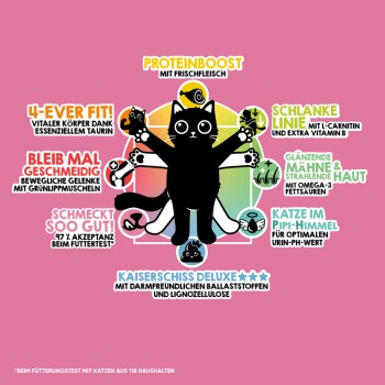 Bunte Grafik einer Cartoon-Schwarzen Katze mit ausgestreckten Pfoten und Text, der die Vorteile von Katzenfutter wie "Proteinboost" und "4-ever Fit" hervorhebt.