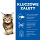 Zabawny kotek tabby z czerwoną obrożą stoi obok niebieskiego panelu z listą korzyści: DHA, białko i minerały.