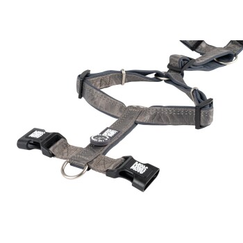 Graues verstellbares Hundegeschirr mit schwarzen Schnallen mit der Aufschrift „Max & Molly“ und Metall-D-Ring auf weißem Hintergrund.