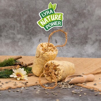 Zwei Futterstellen für Vögel mit Samen und Insekten, mit Schnur auf Jute gebunden, mit einem Holzlöffel und Sonnenblumenkernen, mit dem Logo "LYRA NATURE POWER."