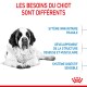 Un chiot Saint Bernard se repose, avec un texte sur ses besoins : 'Système immunitaire fragile', 'Développement des os et des muscles', 'Système digestif sensible.'