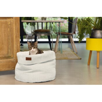 Un chat tigré est confortablement assis dans un lit pour animaux de compagnie à rayures bleu clair avec une étiquette en cuir indiquant "Conçu pour les chats," dans une pièce moderne et élégante.