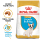 Royal Canin Puppy food bag for French Bulldogs, showcasing a puppy image and highlighting tailored nutrition and immune support.