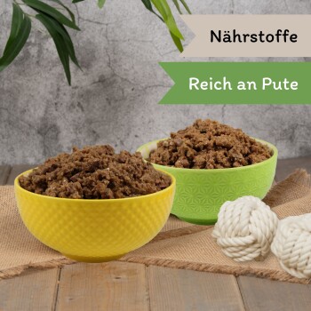 Zwei Schalen mit Haustierfutter, eine gelbe und eine grüne, gefüllt mit braunem, stückigem Futter. Die Textetiketten lesen "Nährstoffe" und "Reich an Pute."