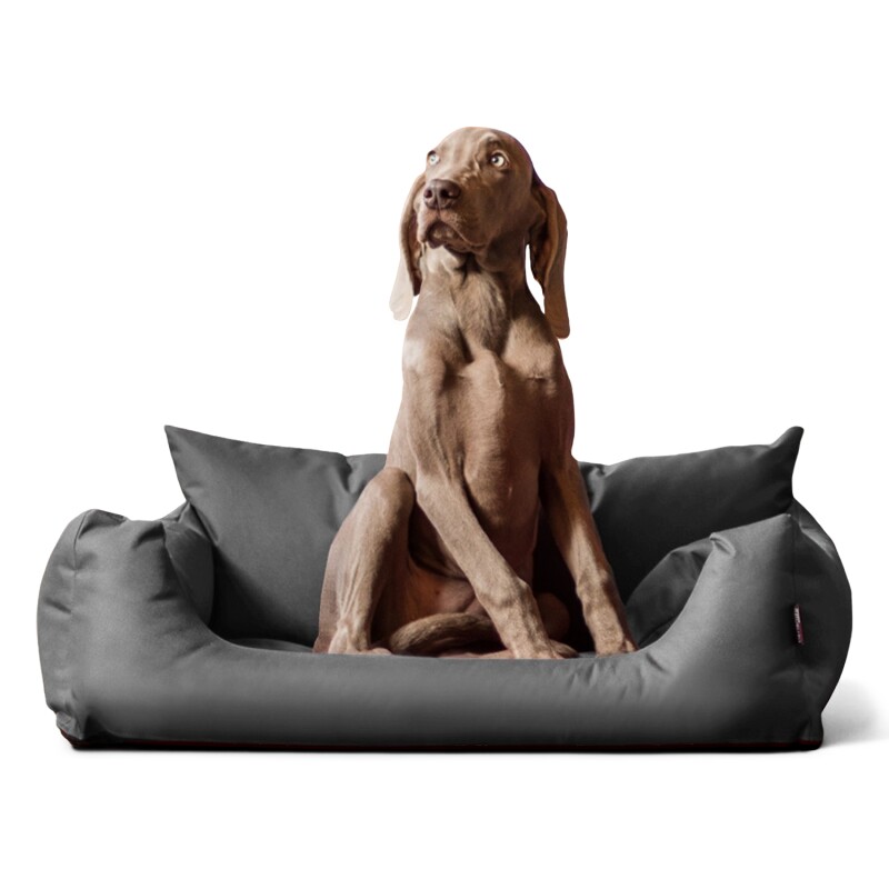 Tierlando NEMO Hundebett Hundesofa S M L Hundekorb Katzenbett 65 80 100cm grau/ grau 65 cm, 20 cm, 50 cm