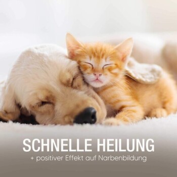 Ein schlafender Golden Retriever und ein rotes Kätzchen, die zusammen kuscheln, mit dem Text "SCHNELLE HEILUNG + positiver Effekt auf Narbenbildung" darunter.