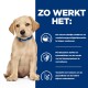 Een lichtgekleurde puppy zit tegen een blauwe achtergrond met tekst over een nieuwe eiwitbron die voedselgevoeligheid en huidgezondheid helpt.