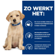 Ein hellfarbener Welpe sitzt vor einem blauen Hintergrund mit Text über eine neue Proteinquelle, die bei Nahrungsmittelempfindlichkeit und Hautgesundheit hilft.