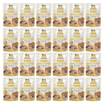Care Mini Fillets z królikiem i łososiem, w sosie własnym 24 x 85 g