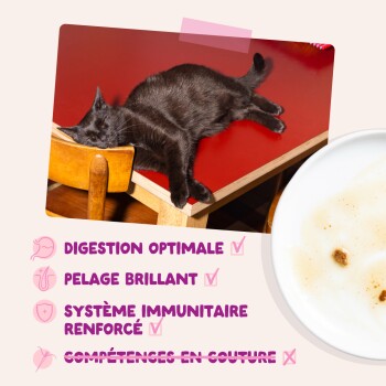 Chat noir dormant sur une table rouge ; texte : Digestion optimale, Pelage brillant, Immunité renforcée ; couture barrée.