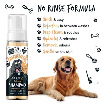 Bugalugs No Rinse Haferflocken-Shampoo-Flasche mit Kokosnuss und Limette, neben einem Golden Retriever. Höhepunkte: schnelle Reinigung, hydratisiert, sanft.
