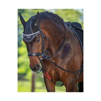 Nahaufnahme eines braunen Pferdes in einer schwarzen Strass-Fliegenhaube, Zaumzeug und Sattel, mit einem verschwommenen grünen Hintergrund.