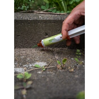 Eine Person hält eine Tube "greenhome AMEISENGEL" Ameisen-Gel und trägt es auf eine Betonoberfläche mit kleinen Pflanzen herum auf.
