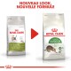 Image de deux sacs de nourriture pour chat Royal Canin : à gauche "OUTDOOR 30," à droite "Active Life OUTDOOR," avec "NOUVEAU LOOK, NOUVELLE FORMULE" au-dessus.