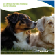 Zwei Hunde (schwarz-braun und creme) ruhend, deutscher Text "So fördert ihr die Knochen eures Hundes" und Canina-Logo.