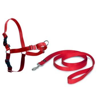 Rotes Hundegeschirr und Leinen-Set auf einem weißen Hintergrund, mit verstellbaren Riemen und einem Metallclip für eine sichere Befestigung.
