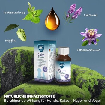 Eine Flasche und Schachtel "Calm Tropfen" für Haustiere mit Katzenminze, Hopfen, Lavendel und Passionsblume, beschriftet zur Beruhigung von Haustieren.