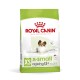 Royal Canin X-Small Ageing 12+ Hundefutterbeutel, mit einem kleinen Hund auf der Vorderseite, mit Text, der das gesunde Immunsystem und die Vitalitätsunterstützung hervorhebt.