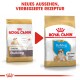Zwei Royal Canin Hundefutterbeutel, beschriftet mit "Junior Bulldog" und "Puppy Bulldog," mit "NEUES AUSSEHEN, VERBESSERTE REZEPTUR" darüber.