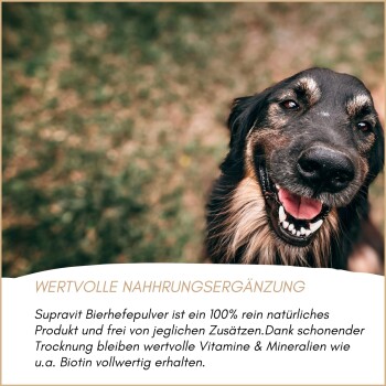 Fröhlicher schwarz-lohfarbener Hund auf Gras; weißes Banner mit der Aufschrift "WERTVOLLE NAHRUNGSERGÄNZUNG" und deutschem Produkttext