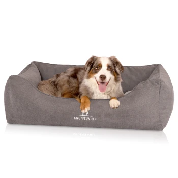 Ein glücklicher Australian Shepherd Hund, der in einem gemütlichen grauen Hundebett mit dem Logo 'KNUFFELWUFF' auf der Vorderseite entspannt.