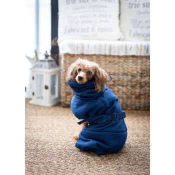 Ein kleiner, flauschiger Hund in einem blauen Haustiermantel sitzt auf einem gewebten Teppich und schaut neugierig in die Kamera.