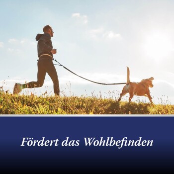 Ein Mann joggt mit einem Hund an der Leine auf einer grasbewachsenen Fläche unter einem hellen Himmel, mit dem Text "Fördert das Wohlbefinden" am unteren Rand.