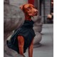 Ein brauner Hund, der einen stilvollen schwarzen Regenmantel mit gelben Akzenten trägt, sitzt elegant neben einer Steinkonstruktion.