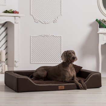 Ein grauer Hund, der auf einem stilvollen braunen Haustierbett in einem hellen, eleganten Raum mit weißen Wänden und dekorativen Akzenten entspannt.