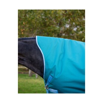 Eine Nahaufnahme eines Pferdes, das eine leuchtend türkisfarbene Decke trägt, die die Stofftextur und ein Etikett zeigt, auf dem "HORSELADY TREND" steht.