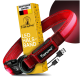 Rotes LED-Hundehalsband von Tierhood mit USB-Ladekabel, mit schwarzer Schnalle und reflektierendem Streifen, angezeigt mit Farboptionen darunter.