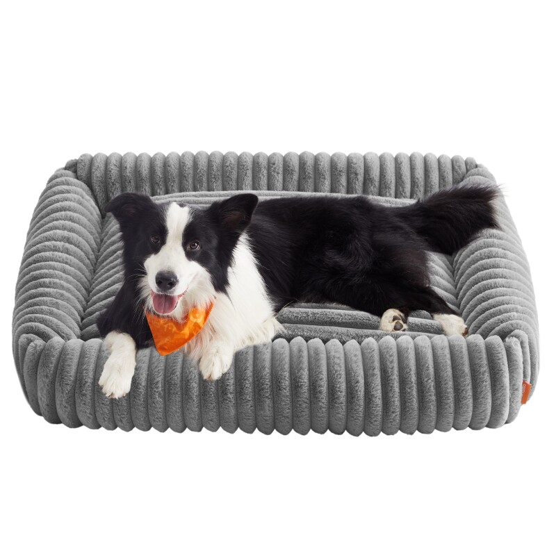 FEANDREA Hundebett orthopädisches Hundekörbchen,Hundekissen waschbar, flauschig hellgrau XL