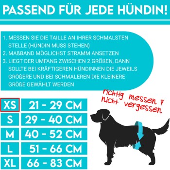 Infografik über Hundemessgrößen XS bis XL, mit Maßen in Zentimetern und Tipps für genaues Messen.